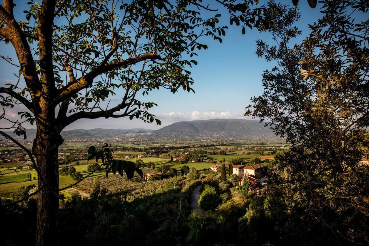 Il Poggio Degli Olivi Βίλα Bettona Εξωτερικό φωτογραφία