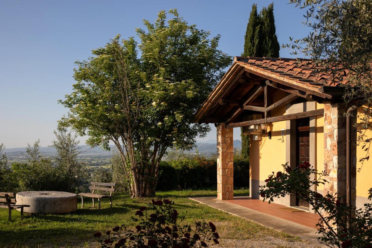Il Poggio Degli Olivi Βίλα Bettona Εξωτερικό φωτογραφία