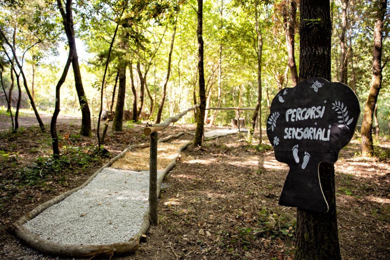 Il Poggio Degli Olivi Βίλα Bettona Εξωτερικό φωτογραφία